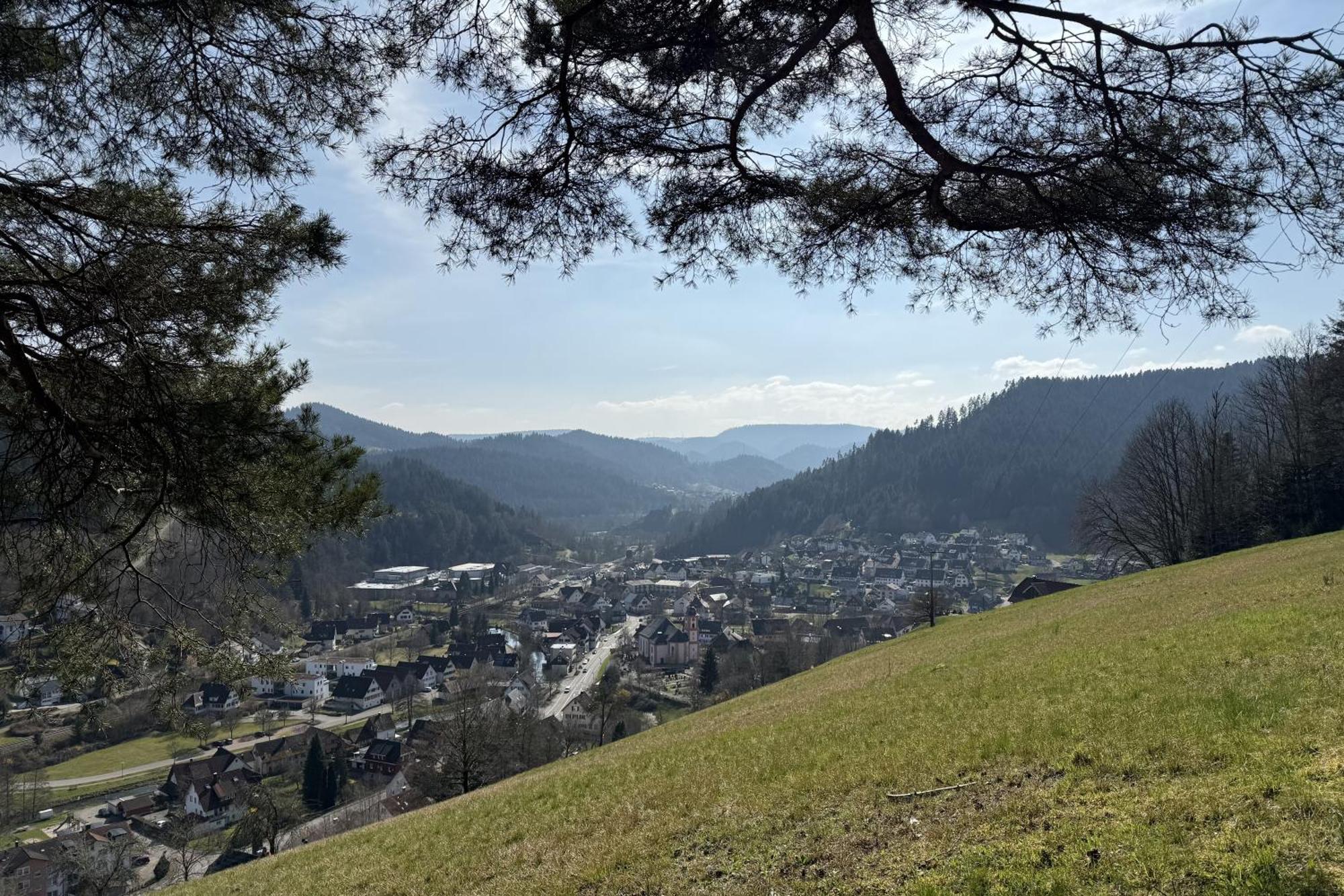 Schenkenzell Schwarzwald Blockhaus - Sauna - Kamin - Mit Bettwaesche Und Handtuecher מראה חיצוני תמונה
